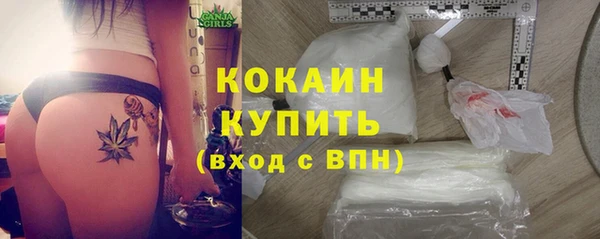 стафф Богданович