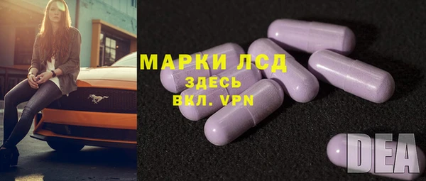 гашик Покров