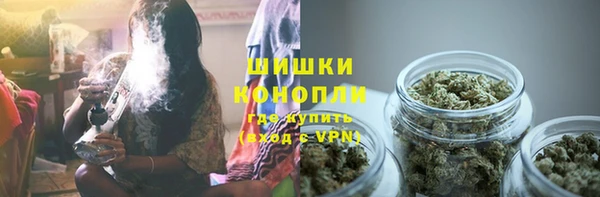 стафф Богданович