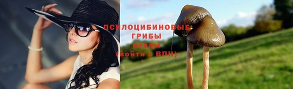 гашик Богородицк