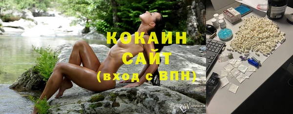 стафф Богданович