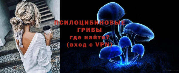 гашик Богородицк