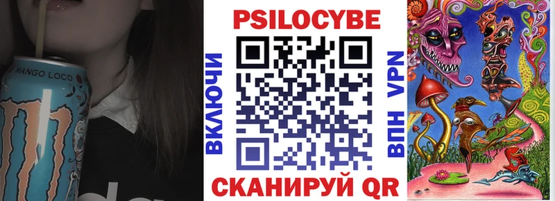 нарко площадка Telegram Александровское Псилоцибиновые грибы Psilocybe